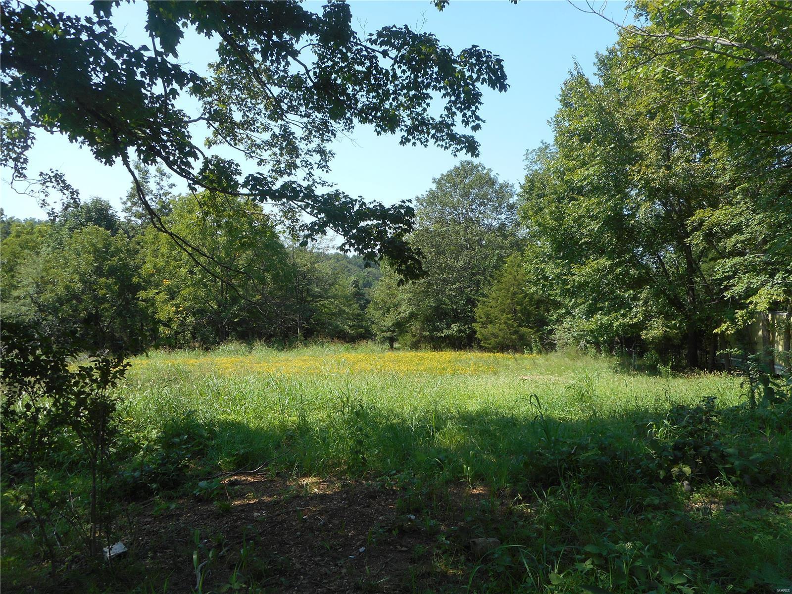 1044 Wayne County 350 Piedmont Mo 63957, Piedmont, MO 63957 | Compass