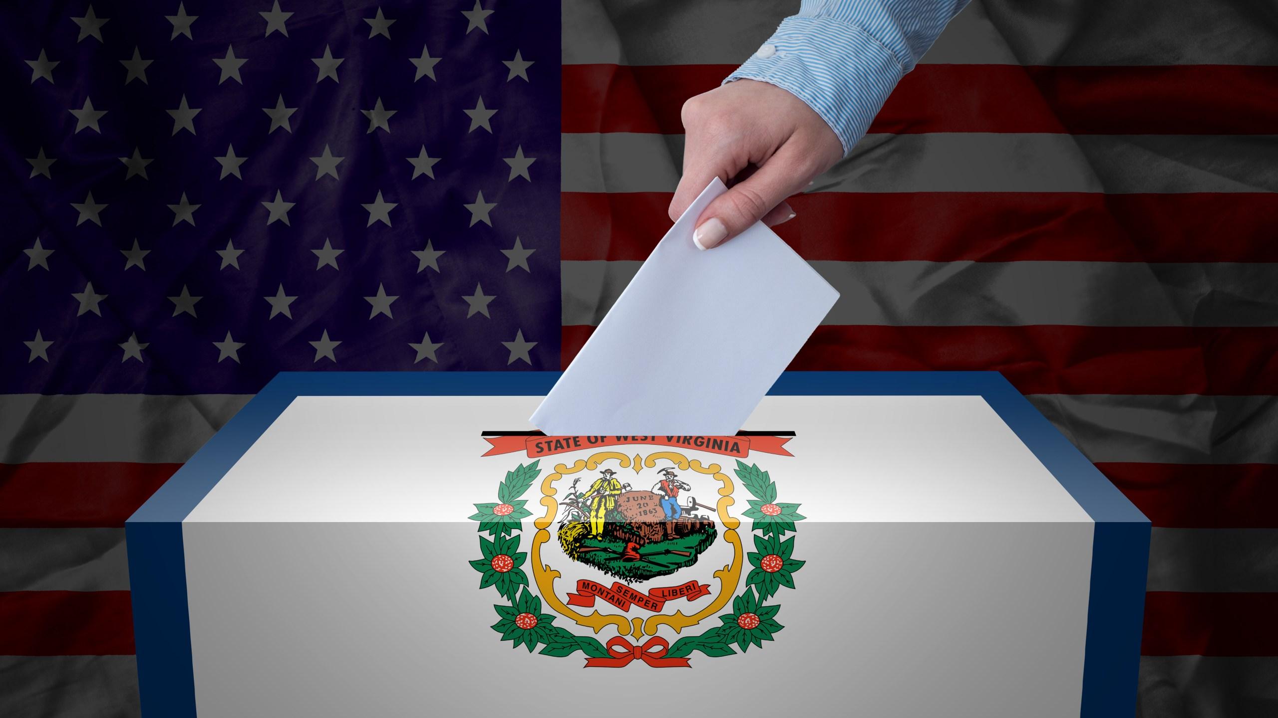 Here's who is running in the 2022 West Virginia Primaries | WOWK