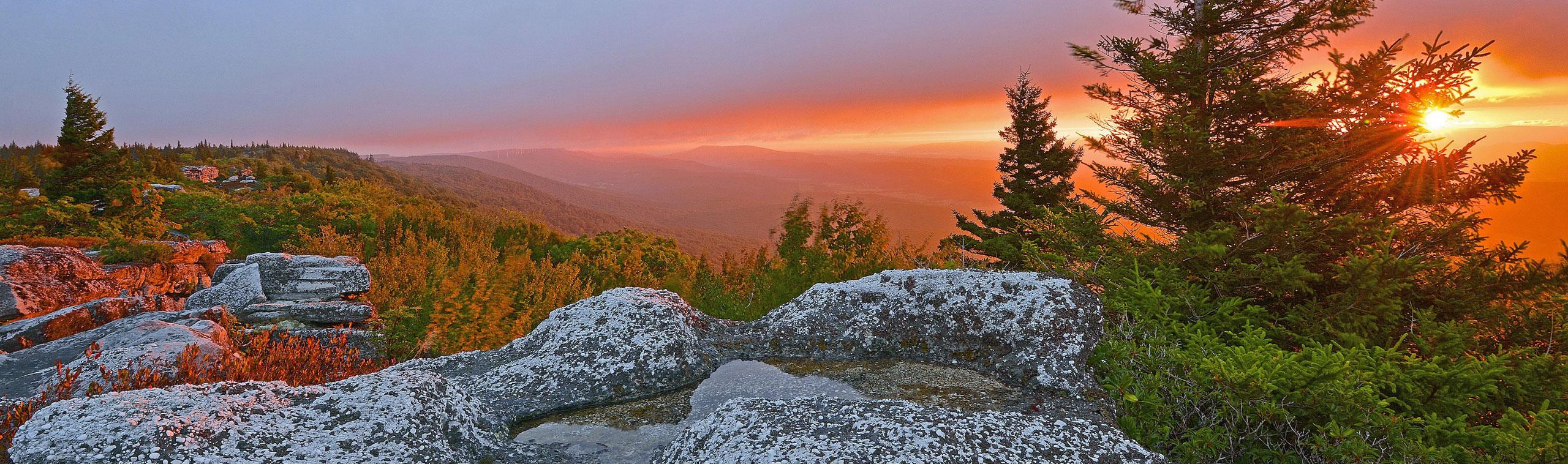 State of West Virginia