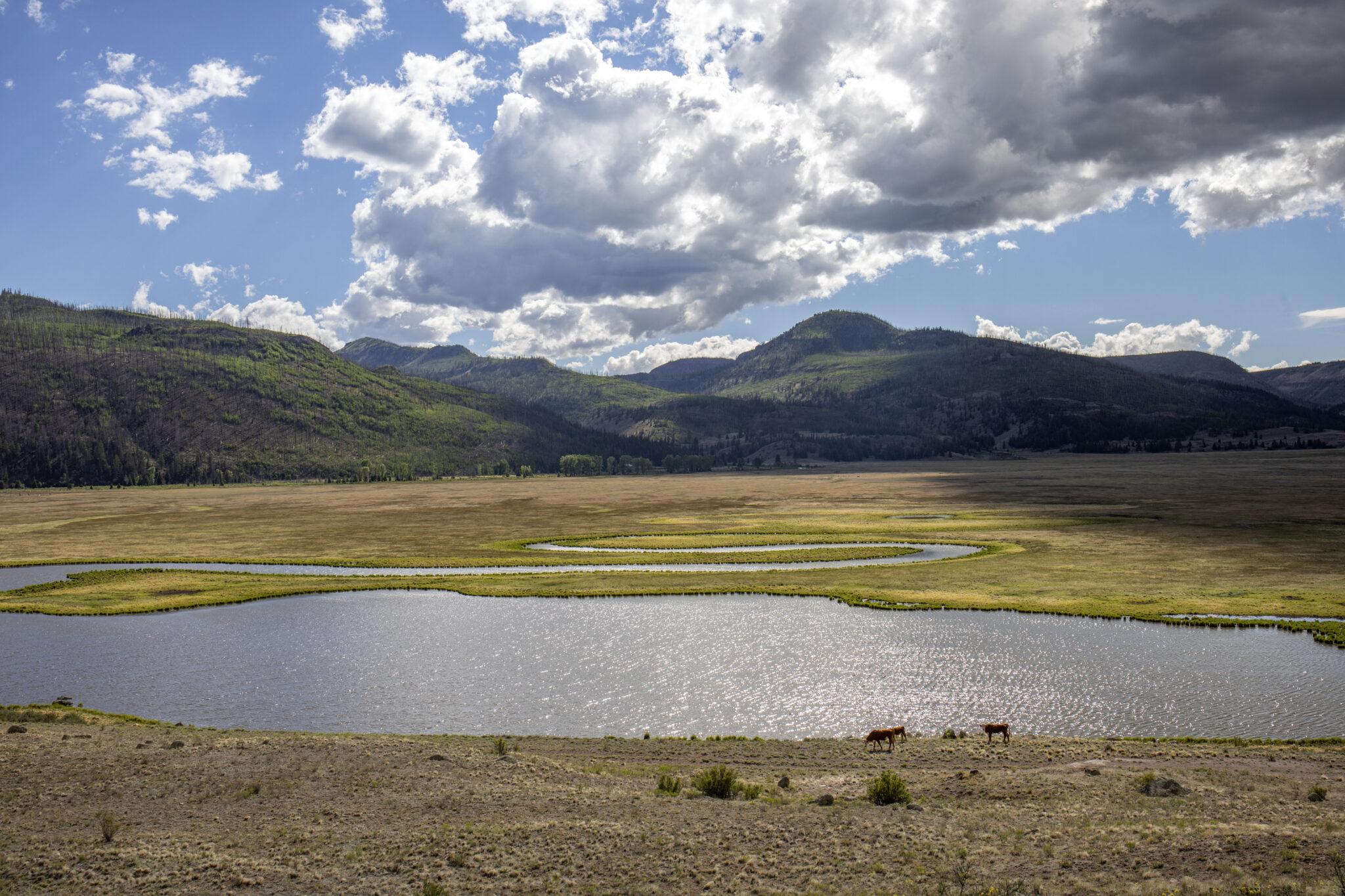 A river wounded: Crisis on the Rio Grande • Colorado Newsline